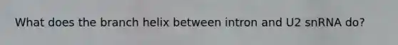 What does the branch helix between intron and U2 snRNA do?