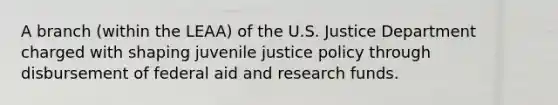 A branch (within the LEAA) of the U.S. Justice Department charged with shaping juvenile justice policy through disbursement of federal aid and research funds.