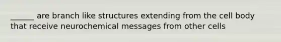 ______ are branch like structures extending from the cell body that receive neurochemical messages from other cells