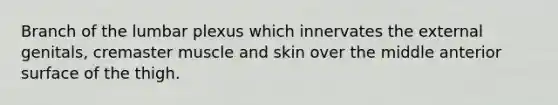 Branch of the lumbar plexus which innervates the external genitals, cremaster muscle and skin over the middle anterior surface of the thigh.