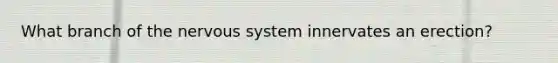 What branch of the nervous system innervates an erection?