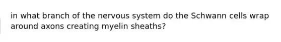 in what branch of the nervous system do the Schwann cells wrap around axons creating myelin sheaths?