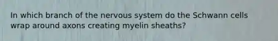 In which branch of the nervous system do the Schwann cells wrap around axons creating myelin sheaths?