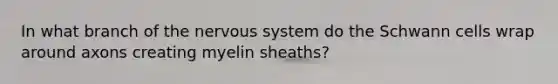 In what branch of the nervous system do the Schwann cells wrap around axons creating myelin sheaths?