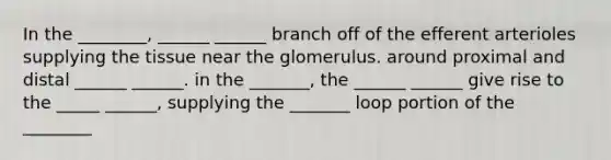 In the ________, ______ ______ branch off of the efferent arterioles supplying the tissue near the glomerulus. around proximal and distal ______ ______. in the _______, the ______ ______ give rise to the _____ ______, supplying the _______ loop portion of the ________