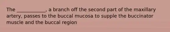 The ____________, a branch off the second part of the maxillary artery, passes to the buccal mucosa to supple the buccinator muscle and the buccal region