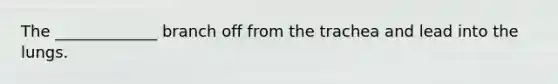 The _____________ branch off from the trachea and lead into the lungs.