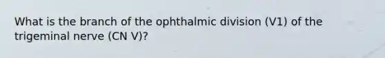 What is the branch of the ophthalmic division (V1) of the trigeminal nerve (CN V)?