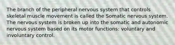 The branch of the peripheral nervous system that controls skeletal muscle movement is called the Somatic nervous system. The nervous system is broken up into the somatic and autonomic nervous system based on its motor functions: voluntary and involuntary control.