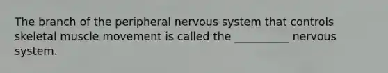 The branch of the peripheral <a href='https://www.questionai.com/knowledge/kThdVqrsqy-nervous-system' class='anchor-knowledge'>nervous system</a> that controls skeletal muscle movement is called the __________ nervous system.