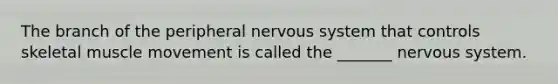 The branch of the peripheral <a href='https://www.questionai.com/knowledge/kThdVqrsqy-nervous-system' class='anchor-knowledge'>nervous system</a> that controls skeletal muscle movement is called the _______ nervous system.