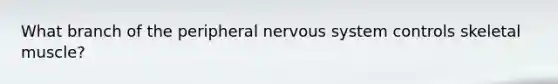 What branch of the peripheral nervous system controls skeletal muscle?