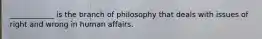 ____________ is the branch of philosophy that deals with issues of right and wrong in human affairs.