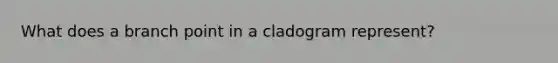 What does a branch point in a cladogram represent?