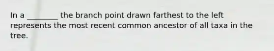 In a ________ the branch point drawn farthest to the left represents the most recent common ancestor of all taxa in the tree.
