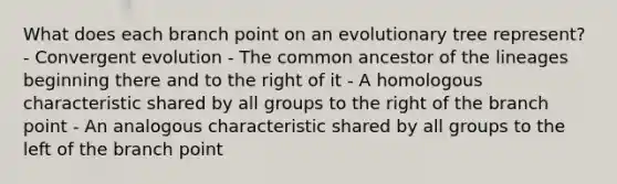 What does each branch point on an evolutionary tree represent? - Convergent evolution - The common ancestor of the lineages beginning there and to the right of it - A homologous characteristic shared by all groups to the right of the branch point - An analogous characteristic shared by all groups to the left of the branch point