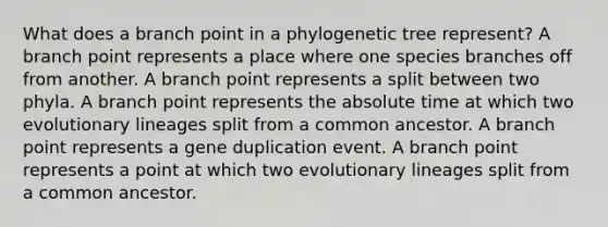 What does a branch point in a phylogenetic tree represent? A branch point represents a place where one species branches off from another. A branch point represents a split between two phyla. A branch point represents the absolute time at which two evolutionary lineages split from a common ancestor. A branch point represents a gene duplication event. A branch point represents a point at which two evolutionary lineages split from a common ancestor.