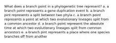 What does a branch point in a phylogenetic tree represent? a. a branch point represents a gene duplication event b. a branch pint represents a split between two phyla c. a branch point represents a point at which two evolutionary lineages split from a common ancestor d. a branch point represent the absolute time at which two evolutionary lineages split from common ancestors e. a branch pint represents a place where one species branches off from another