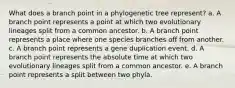 What does a branch point in a phylogenetic tree represent? a. A branch point represents a point at which two evolutionary lineages split from a common ancestor. b. A branch point represents a place where one species branches off from another. c. A branch point represents a gene duplication event. d. A branch point represents the absolute time at which two evolutionary lineages split from a common ancestor. e. A branch point represents a split between two phyla.