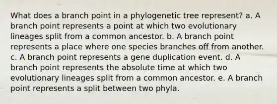 What does a branch point in a phylogenetic tree represent? a. A branch point represents a point at which two evolutionary lineages split from a common ancestor. b. A branch point represents a place where one species branches off from another. c. A branch point represents a gene duplication event. d. A branch point represents the absolute time at which two evolutionary lineages split from a common ancestor. e. A branch point represents a split between two phyla.