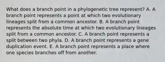 What does a branch point in a phylogenetic tree represent? A. A branch point represents a point at which two evolutionary lineages split from a common ancestor. B. A branch point represents the absolute time at which two evolutionary lineages split from a common ancestor. C. A branch point represents a split between two phyla. D. A branch point represents a gene duplication event. E. A branch point represents a place where one species branches off from another.