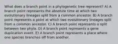 What does a branch point in a phylogenetic tree represent? A) A branch point represents the absolute time at which two evolutionary lineages split from a common ancestor. B) A branch point represents a point at which two evolutionary lineages split from a common ancestor. C) A branch point represents a split between two phyla. D) A branch point represents a gene duplication event. E) A branch point represents a place where one species branches off from another.