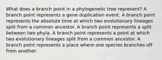 What does a branch point in a phylogenetic tree represent? A branch point represents a gene duplication event. A branch point represents the absolute time at which two evolutionary lineages split from a common ancestor. A branch point represents a split between two phyla. A branch point represents a point at which two evolutionary lineages split from a common ancestor. A branch point represents a place where one species branches off from another.