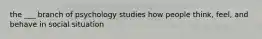 the ___ branch of psychology studies how people think, feel, and behave in social situation