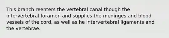 This branch reenters the vertebral canal though the intervertebral foramen and supplies the meninges and blood vessels of the cord, as well as he intervertebral ligaments and the vertebrae.