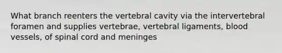 What branch reenters the vertebral cavity via the intervertebral foramen and supplies vertebrae, vertebral ligaments, blood vessels, of spinal cord and meninges