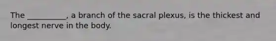 The __________, a branch of the sacral plexus, is the thickest and longest nerve in the body.