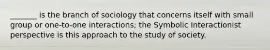 _______ is the branch of sociology that concerns itself with small group or one-to-one interactions; the Symbolic Interactionist perspective is this approach to the study of society.