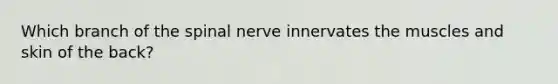 Which branch of the spinal nerve innervates the muscles and skin of the back?