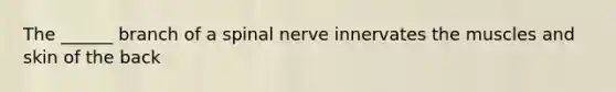 The ______ branch of a spinal nerve innervates the muscles and skin of the back