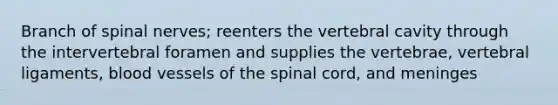 Branch of spinal nerves; reenters the vertebral cavity through the intervertebral foramen and supplies the vertebrae, vertebral ligaments, blood vessels of the spinal cord, and meninges