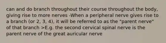 can and do branch throughout their course throughout the body, giving rise to more nerves -When a peripheral nerve gives rise to a branch (or 2, 3, 4), it will be referred to as the "parent nerve" of that branch >E.g. the second cervical spinal nerve is the parent nerve of the great auricular nerve