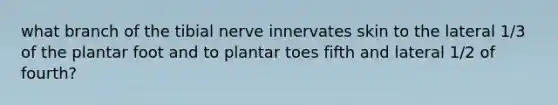 what branch of the tibial nerve innervates skin to the lateral 1/3 of the plantar foot and to plantar toes fifth and lateral 1/2 of fourth?