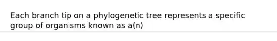 Each branch tip on a phylogenetic tree represents a specific group of organisms known as a(n)