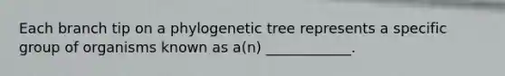 Each branch tip on a phylogenetic tree represents a specific group of organisms known as a(n) ____________.