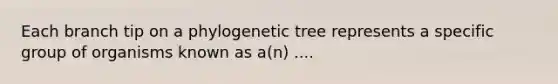 Each branch tip on a phylogenetic tree represents a specific group of organisms known as a(n) ....