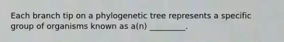 Each branch tip on a phylogenetic tree represents a specific group of organisms known as a(n) _________.