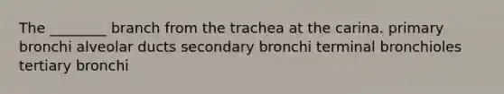 The ________ branch from the trachea at the carina. primary bronchi alveolar ducts secondary bronchi terminal bronchioles tertiary bronchi