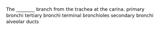 The ________ branch from the trachea at the carina. primary bronchi tertiary bronchi terminal bronchioles secondary bronchi alveolar ducts