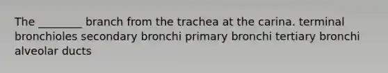 The ________ branch from the trachea at the carina. terminal bronchioles secondary bronchi primary bronchi tertiary bronchi alveolar ducts