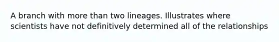 A branch with <a href='https://www.questionai.com/knowledge/keWHlEPx42-more-than' class='anchor-knowledge'>more than</a> two lineages. Illustrates where scientists have not definitively determined all of the relationships