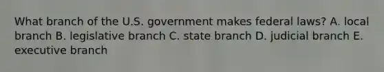 What branch of the U.S. government makes federal laws? A. local branch B. legislative branch C. state branch D. judicial branch E. executive branch