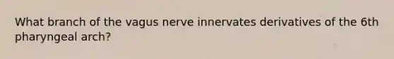 What branch of the vagus nerve innervates derivatives of the 6th pharyngeal arch?