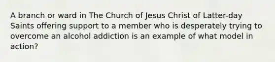 A branch or ward in The Church of Jesus Christ of Latter-day Saints offering support to a member who is desperately trying to overcome an alcohol addiction is an example of what model in action?