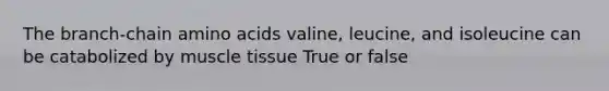 The branch-chain <a href='https://www.questionai.com/knowledge/k9gb720LCl-amino-acids' class='anchor-knowledge'>amino acids</a> valine, leucine, and isoleucine can be catabolized by <a href='https://www.questionai.com/knowledge/kMDq0yZc0j-muscle-tissue' class='anchor-knowledge'>muscle tissue</a> True or false