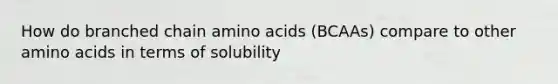 How do branched chain amino acids (BCAAs) compare to other amino acids in terms of solubility